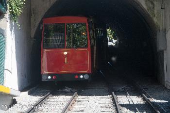 Wellington's famous cable car
