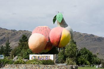 Cromwell - Fruit Capital of NZ!
