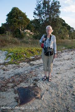 Carol and the Eagle Ray!