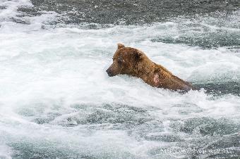 Young male in the jacuzzi!