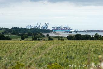 Overlooking Felixstowe Docks