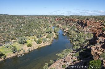 Murchison River - Hawks Head Gorge