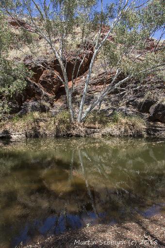 Last of the river water until the 