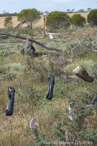 Field Art - shoes on a fence and a WC in a field - I have no idea!
