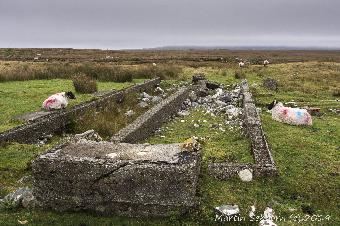 Remnants of Marconi Station