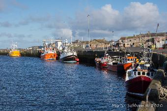Amble Harbour