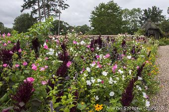 Baddesley Clinton - NT Site