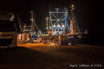 Amazing to watch the Queenie Scallops being landed