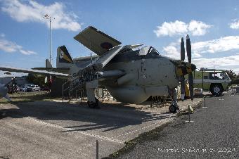 Gannet - look at the size of it compared to the cockpit!